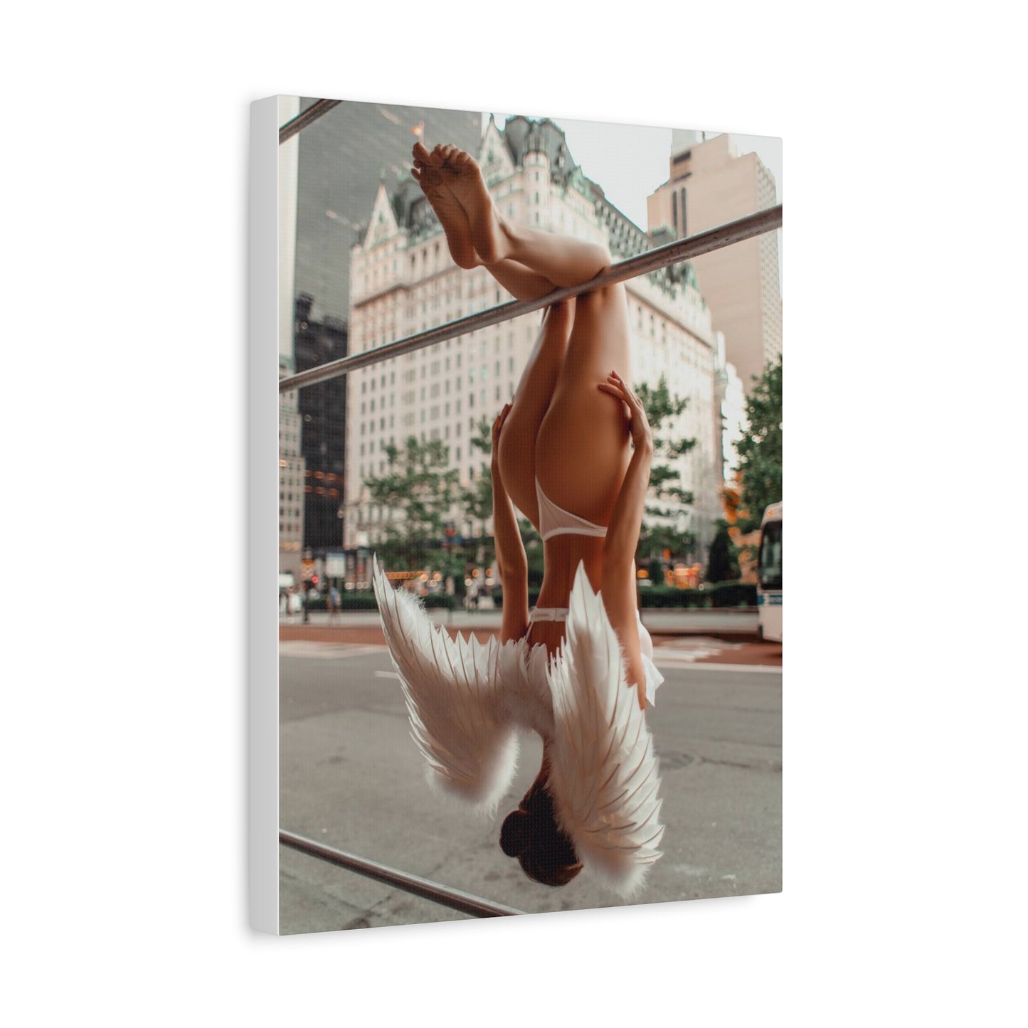Hanging Angel - Anna Fury Canvas Collection